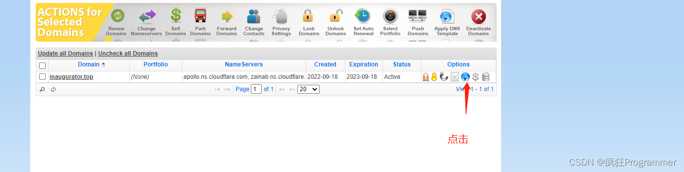 对域名进行DNS设置