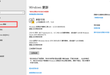 Windows Server服务器找到不到Windows自动更新？-主机商
