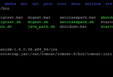 详解阿里云Linux启动tomcat并能外网访问-主机商
