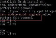 亚马逊EC2在linux 终端 you need to be root to perform this command问题解决-主机商