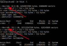 阿里云ECS服务器磁盘Linux在线扩容-主机商