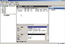 小鸟云服务器如何进行数据盘挂载?(Windows)-主机商