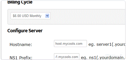 美国Hostigation的VPS主机购买管理及评测完全攻略 美国Hostigation的VPS主机购买管理及评测完全攻略