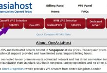 新加坡OneAsiaHost VPS主机的购买教程及简单评测-主机商