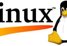 Linux下rootkit后门检测工具chkrootkit安装使用-主机商