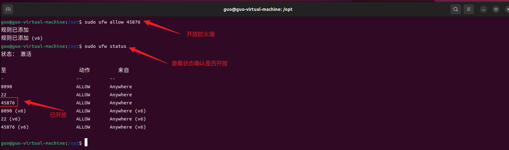 1.4.2.1 二进制Linux方式添加客户端_图3