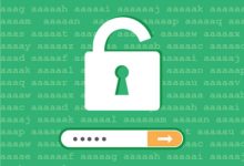 BruteLoops：协议无关的在线密码安全检测API-主机测评网