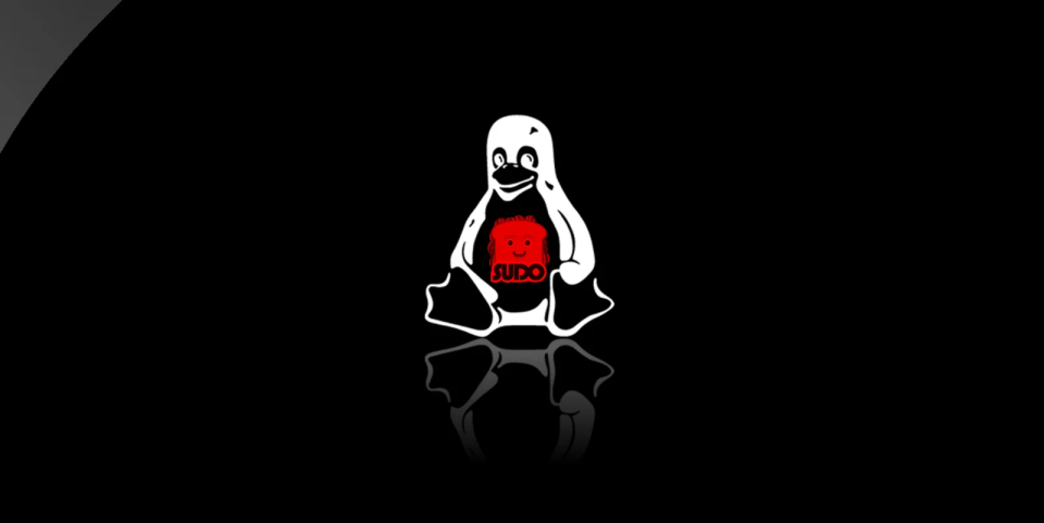 新的 Linux sudo 漏洞使本地用户获得 root 权限 新的 Linux sudo 漏洞使本地用户获得 root 权限